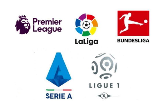 和团队成员 和团队成员